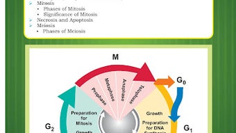 Biology Textbook IX