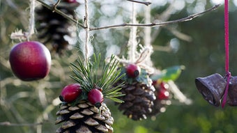  için 0 numaralı resim