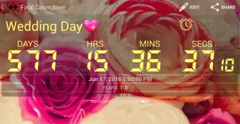 Final Countdown - Day Timer
