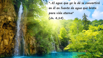 Imagen 0 para 