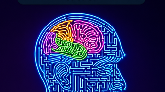 的第0张图片