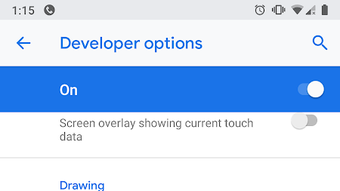 Developer Options