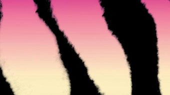 Image 0 pour 