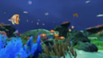 Fancy Fishing VR