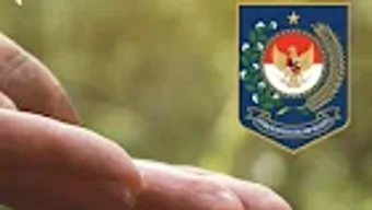 Imagem 0 para 