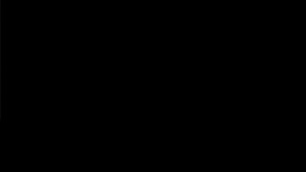 의 이미지 0