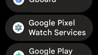 Google Pixel Watch Services