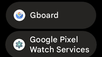 Google Pixel Watch Services