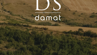 الصورة 0 لـ 