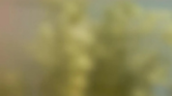 Bild 0 för 