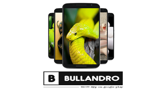 Bild 0 för 