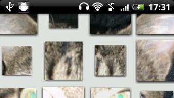 Photile Live Wallpaper