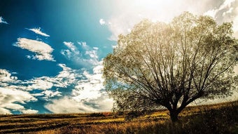 Imagem 0 para 