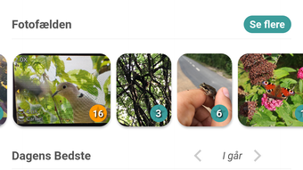 Bild 0 för 