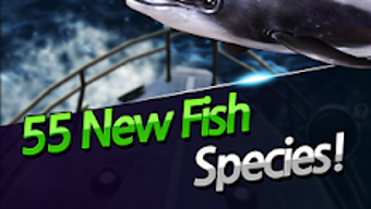 รูปภาพ 0 สำหรับ 