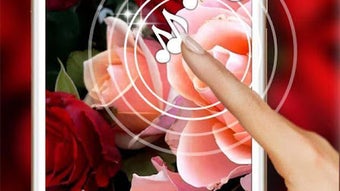 รูปภาพ 0 สำหรับ 