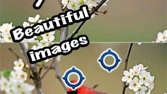 Bild 0 för 