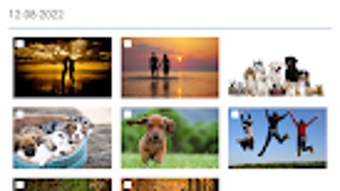 รูปภาพ 0 สำหรับ 