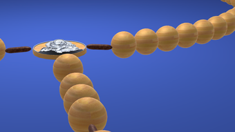 รูปภาพ 0 สำหรับ 