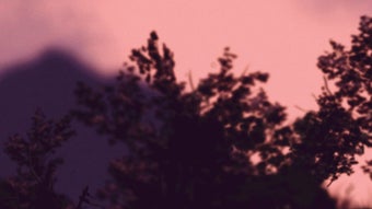 Imagem 0 para 