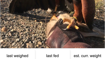  için 0 numaralı resim