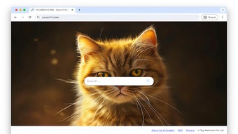 YouSrch.com for Chrome