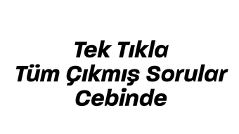 Afbeelding 0 voor 