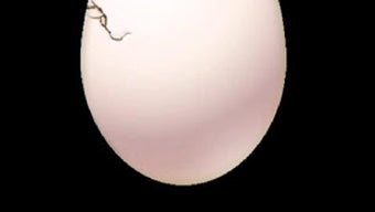 の画像0