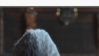 Bild 0 för 