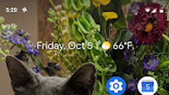 รูปภาพ 0 สำหรับ 