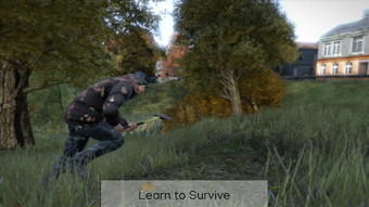 DayZ: Pocket Survival Handler