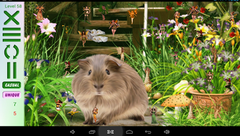 Изображение 0 для 