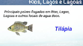 Imagem 0 para 
