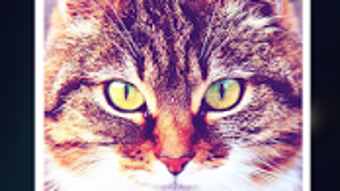  için 0 numaralı resim