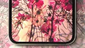 รูปภาพ 0 สำหรับ 