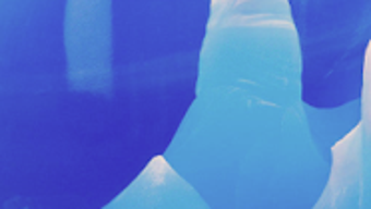 Imagem 0 para 
