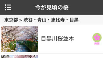 の画像0
