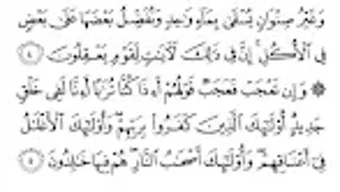 الصورة 0 لـ 