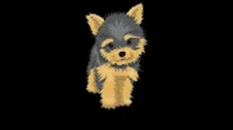Bild 0 för 