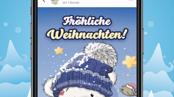 Bild 0 für 