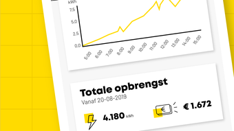 Afbeelding 0 voor 