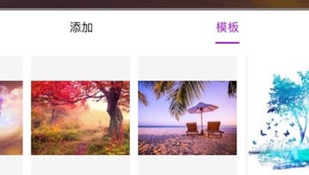 的第0张图片