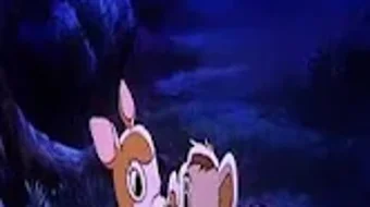 รูปภาพ 0 สำหรับ 