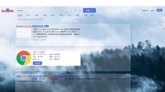 의 이미지 0