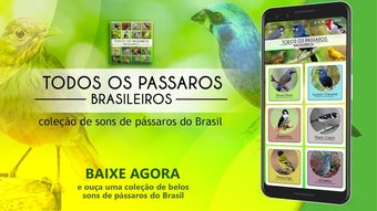Imagem 0 para 