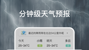 의 이미지 0
