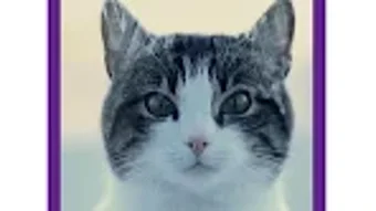 الصورة 0 لـ 