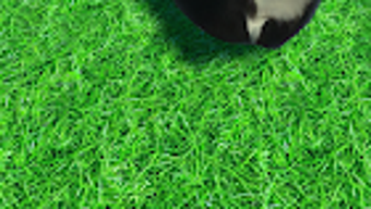 Imagem 0 para 