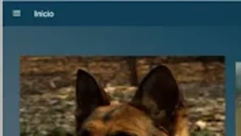 Obraz 0 dla 