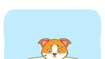 の画像0